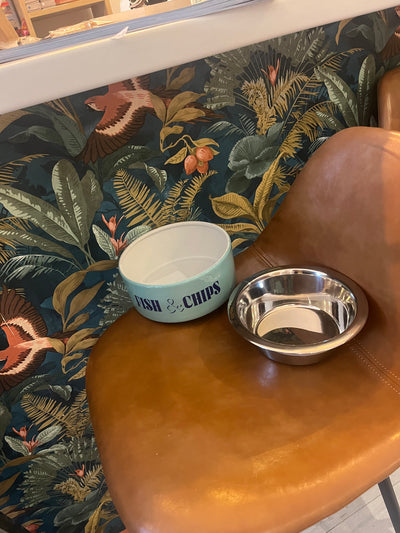 Gamelle pour chien et chat