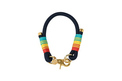 Collier pour chien