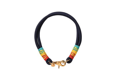 Collier pour chien