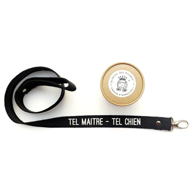 Laisse tel maître tel chien - La reine des fourmis