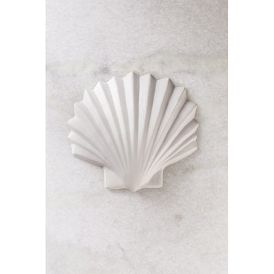 Coquillage murale 