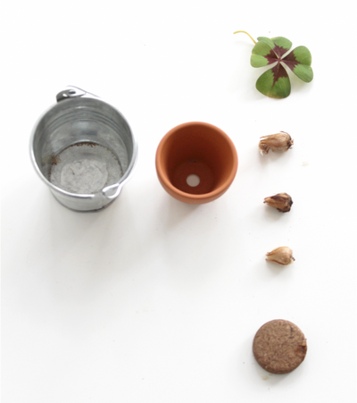 Trèfles à 4 feuilles - L'Avant gardiste